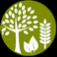 logo-icon.png